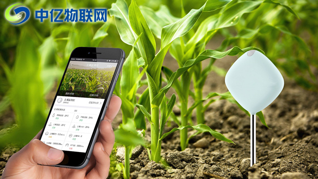 物聯(lián)網(wǎng)卡運用在農作物管理上會怎么樣？