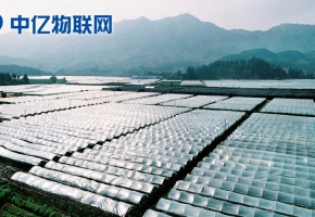 移動物聯卡讓農業(yè)物聯網智能化!