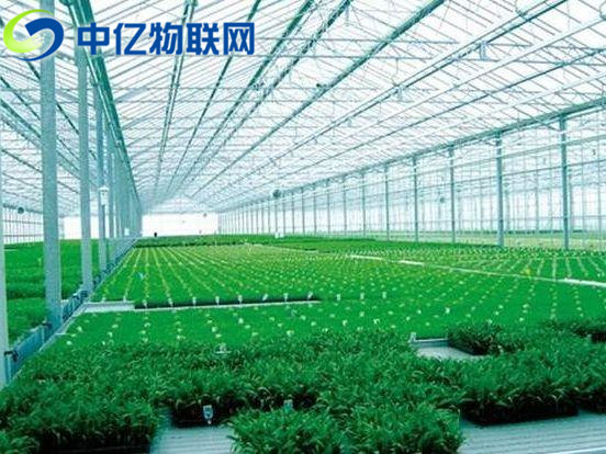 溫濕度傳感器用于智能農(nóng)業(yè)的監(jiān)測中 溫濕度傳感器用于智能農(nóng)業(yè)的監(jiān)測中