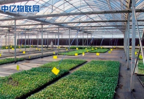 生產(chǎn)監(jiān)控設備流量卡：物聯(lián)網(wǎng)讓農(nóng)業(yè)生產(chǎn)精細化！