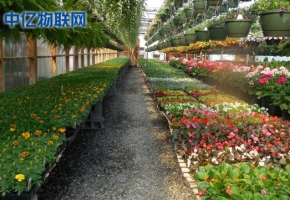 電信物聯(lián)卡是如何應用到智慧農(nóng)業(yè)大棚的？