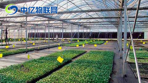 移動(dòng)物聯(lián)網(wǎng)卡的出現(xiàn)帶動(dòng)物聯(lián)網(wǎng)迅速成長
