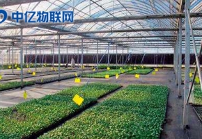 移動(dòng)物聯(lián)網(wǎng)卡的出現(xiàn)帶動(dòng)物聯(lián)網(wǎng)迅速成長(zhǎng)