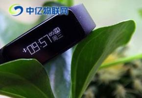 智能手環(huán)物聯(lián)卡 將順應(yīng)時(shí)代潮流