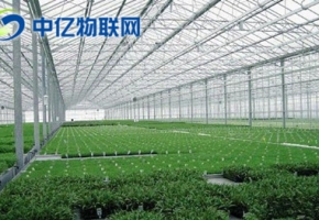 物聯(lián)卡推動(dòng)農(nóng)業(yè)進(jìn)步 遠(yuǎn)程大棚監(jiān)控提高農(nóng)業(yè)生產(chǎn)效率