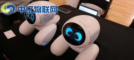  寵物機器人聯(lián)通物聯(lián)卡是如何實現(xiàn)智能化管理的？為什么能受到市場青睞？