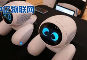  寵物機器人聯(lián)通物聯(lián)卡是如何實現(xiàn)智能化管理的？為什么能受到市場青睞？