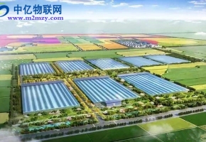 農(nóng)業(yè)物聯(lián)網(wǎng)是如何實現(xiàn)農(nóng)業(yè)生產(chǎn)精致化？